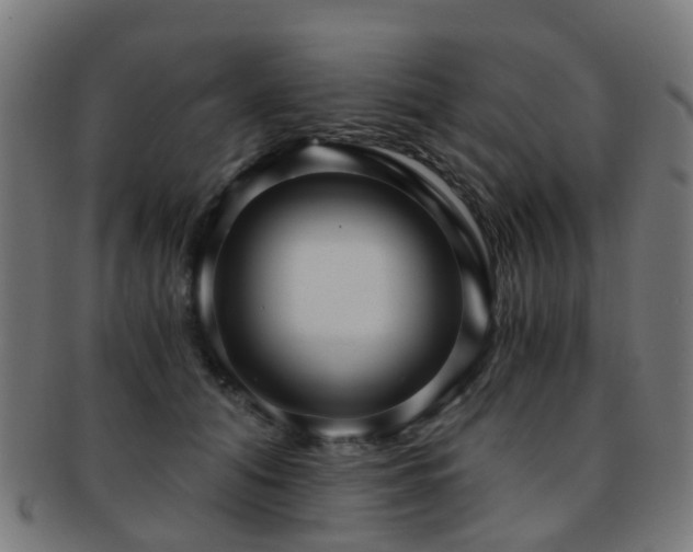 X0000091900608200709051404