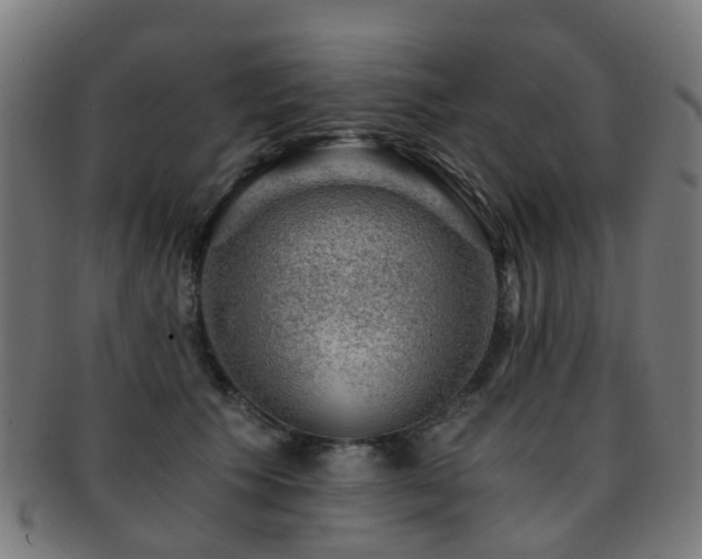 X0000091900609200709051404