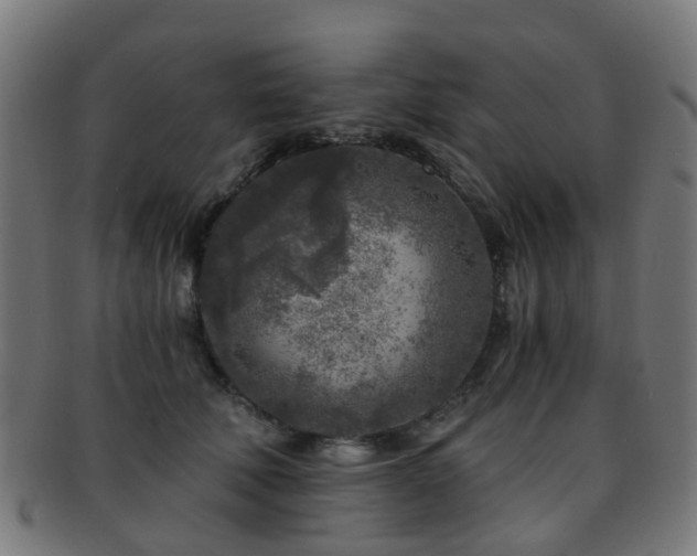 X0000091900610200709051404