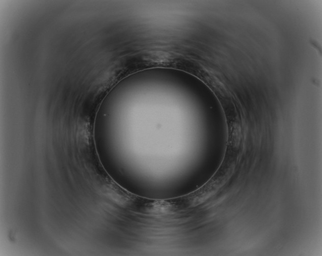 X0000091900612200709051404