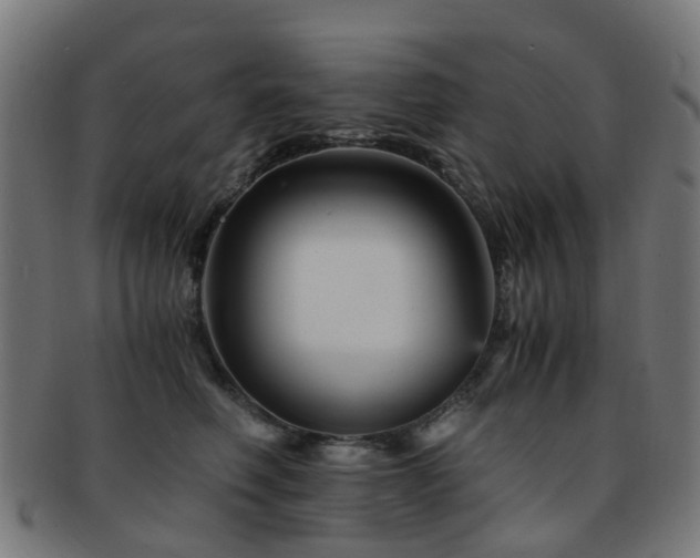 X0000091900614200709051404