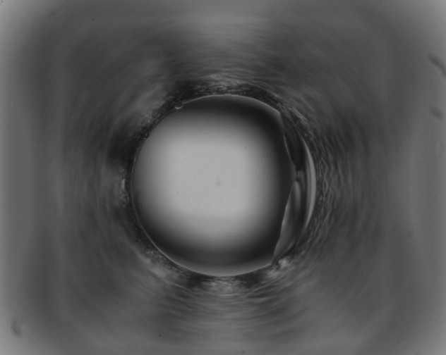X0000091900615200709051404