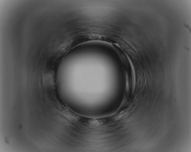 X0000091900616200709051404