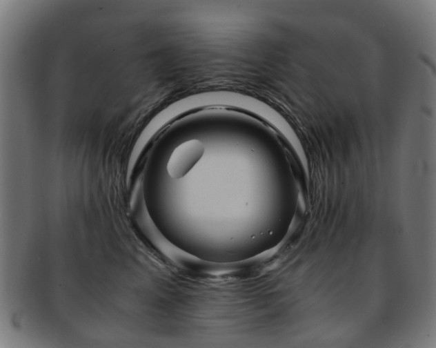 X0000091900617200709051404