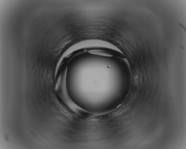 X0000091900620200709051404