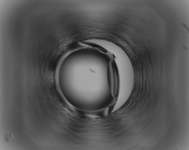 X0000091900621200709051404