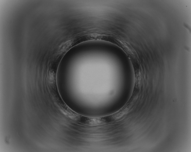 X0000091900623200709051404