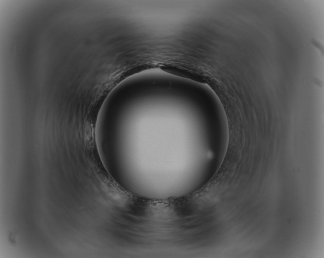 X0000091900624200709051404