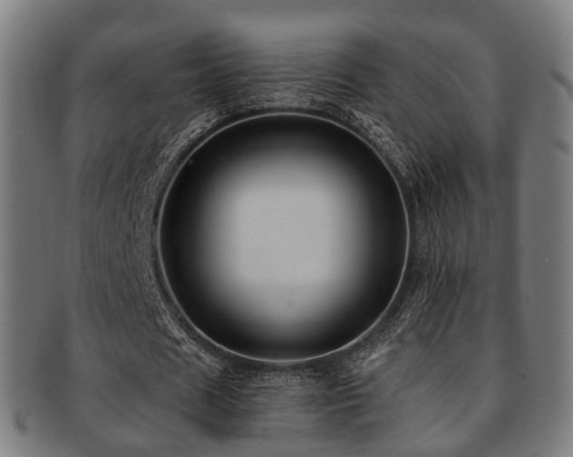 X0000091900625200709051403