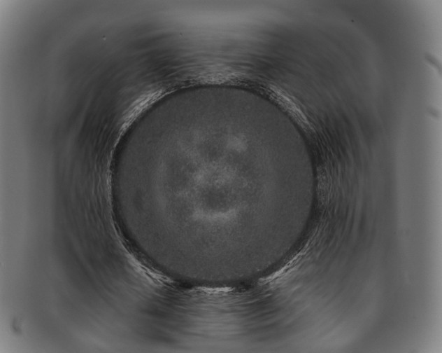 X0000091900626200709051403