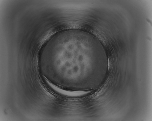 X0000091900627200709051403