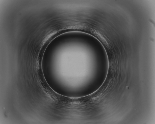 X0000091900628200709051403