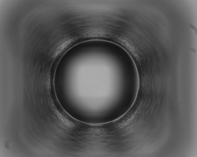 X0000091900629200709051403