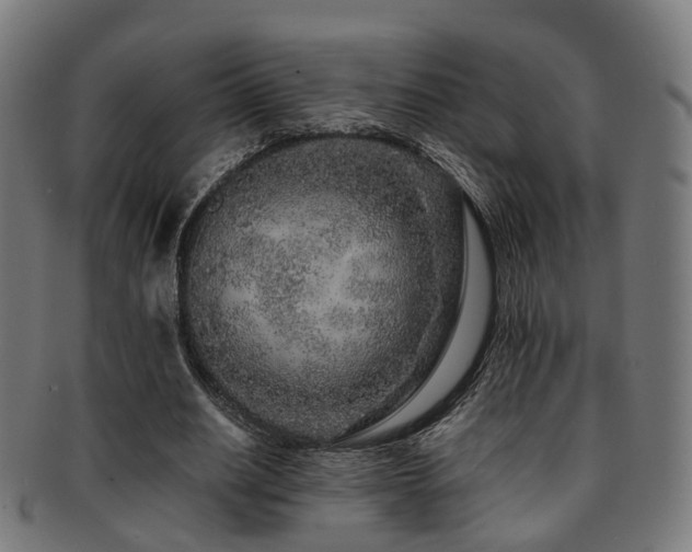 X0000091900630200709051403