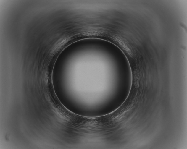 X0000091900631200709051403