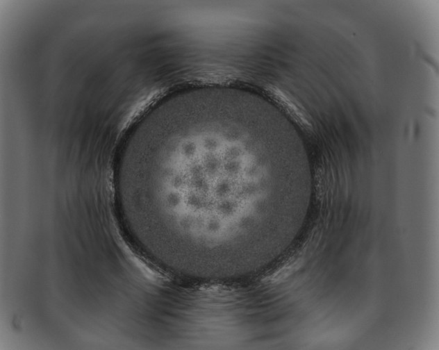 X0000091900634200709051403