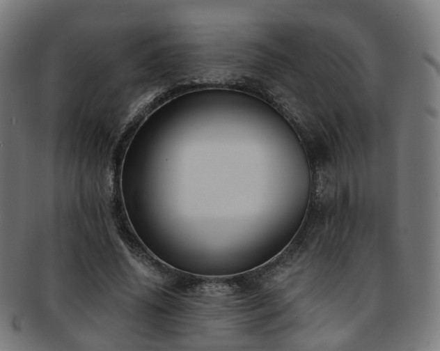 X0000091900636200709051403