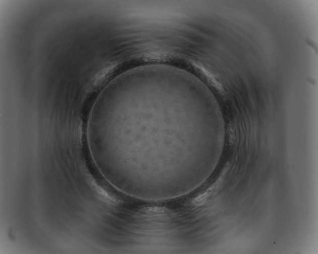 X0000091900637200709051403