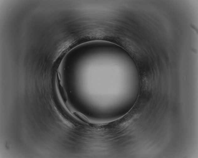 X0000091900638200709051403