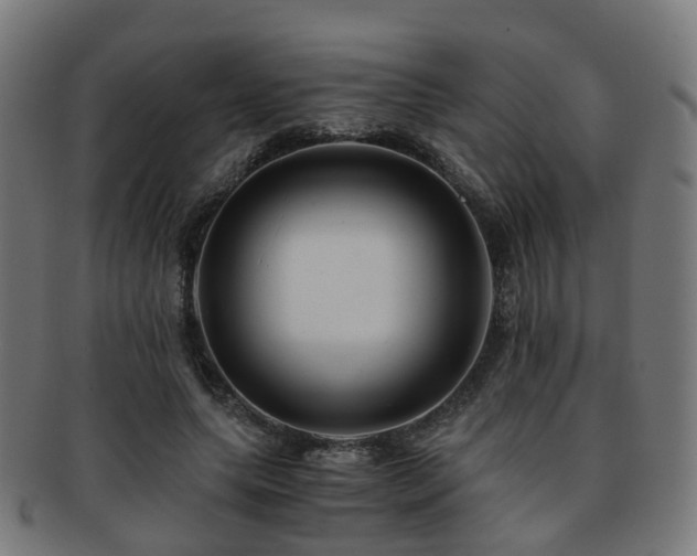 X0000091900639200709051403
