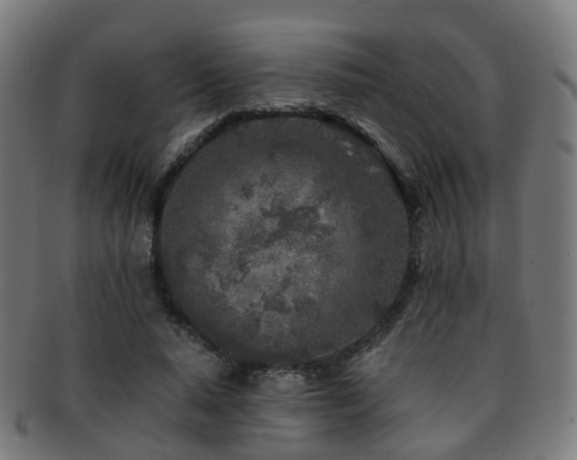 X0000091900640200709051403