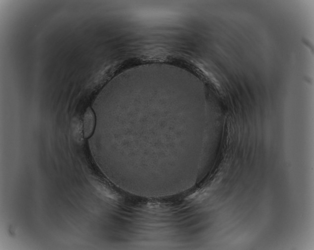 X0000091900641200709051403