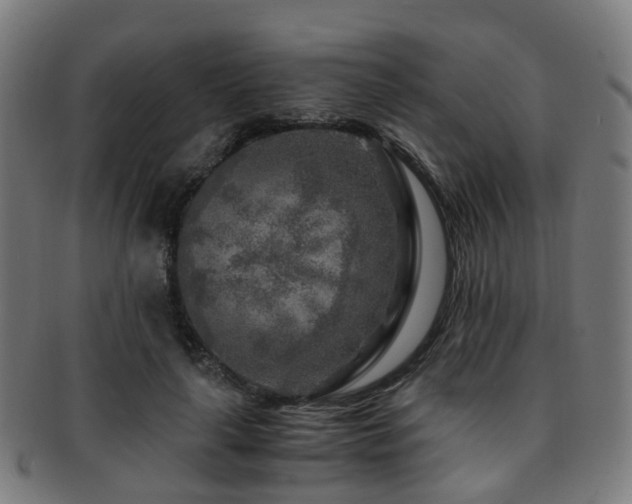 X0000091900643200709051403