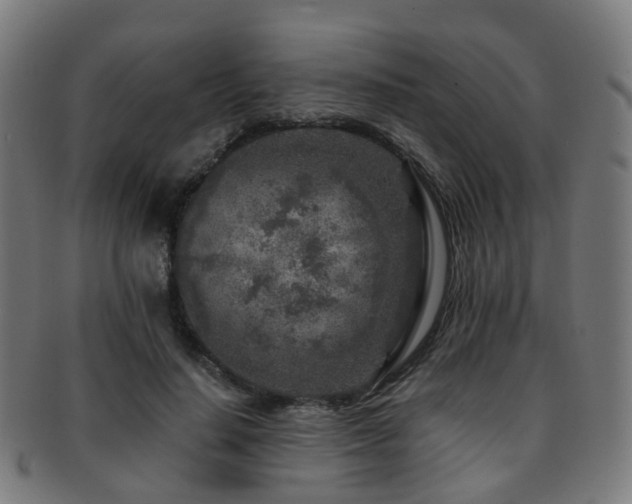 X0000091900644200709051403