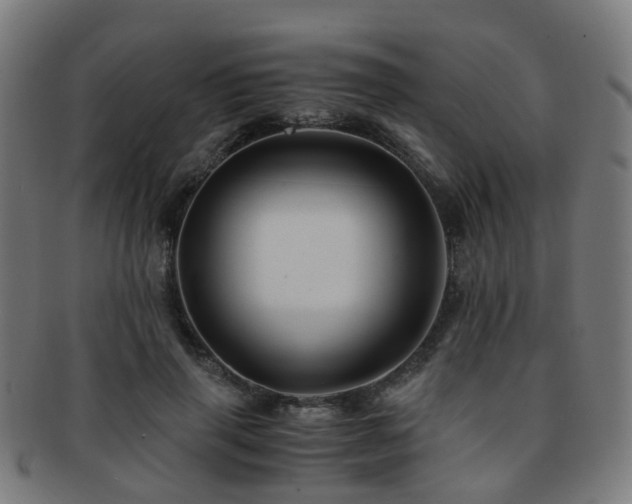 X0000091900645200709051404