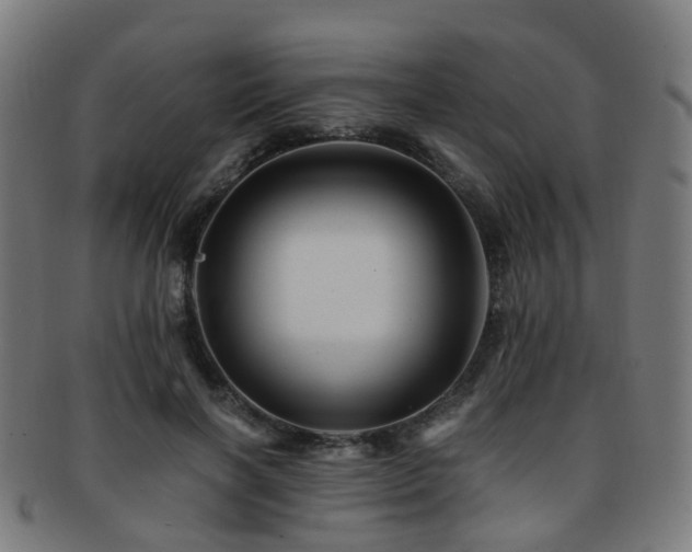 X0000091900646200709051404