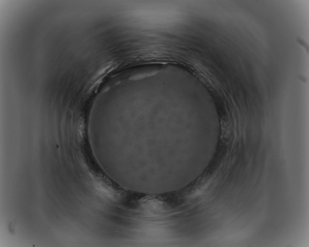 X0000091900648200709051404