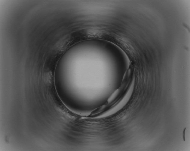 X0000091900649200709051404