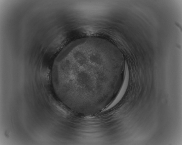 X0000091900650200709051404