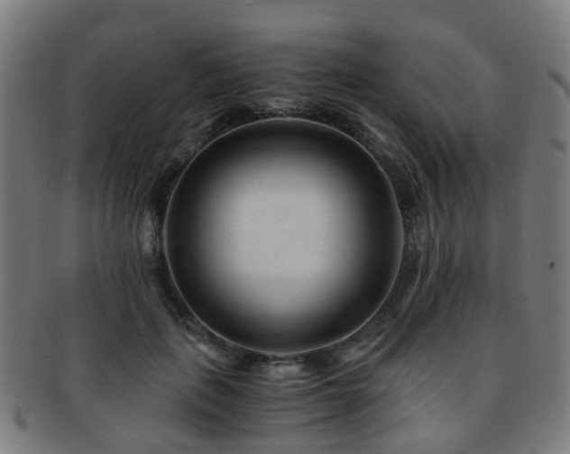 X0000091900651200709051404