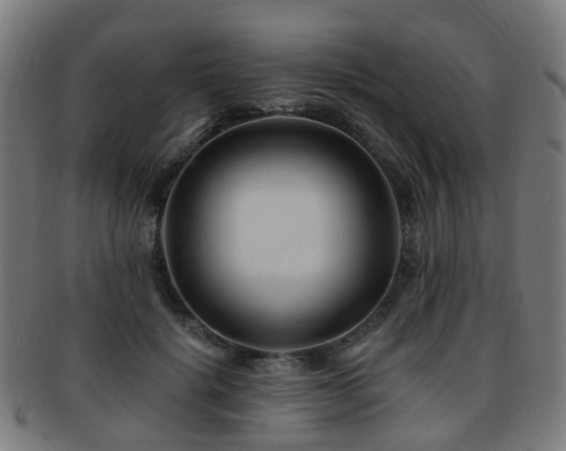 X0000091900652200709051404