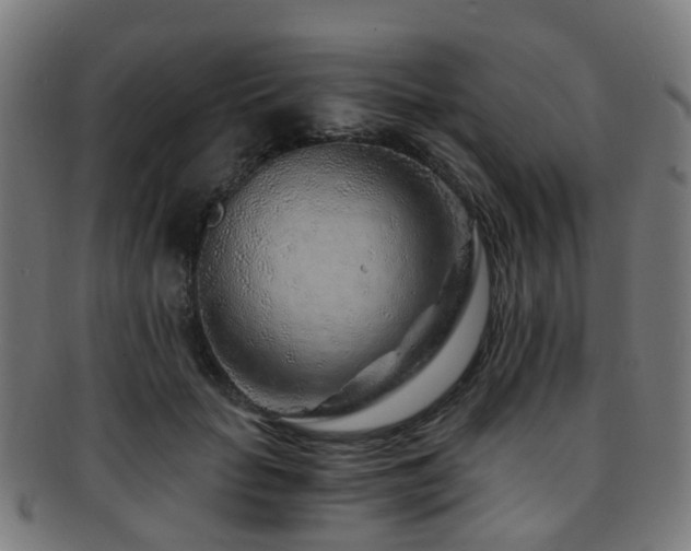 X0000091900653200709051404