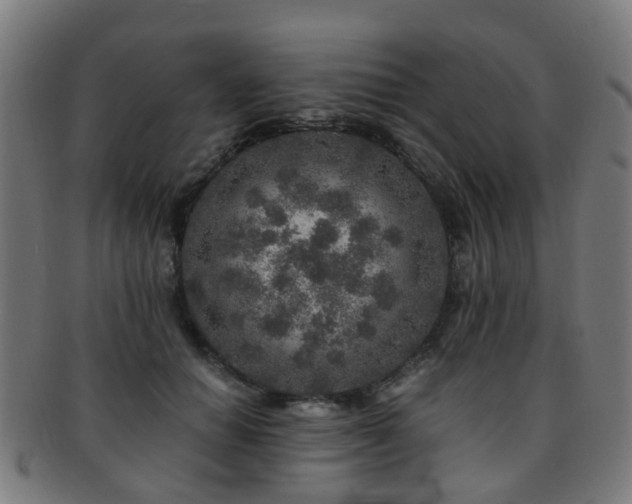 X0000091900654200709051404