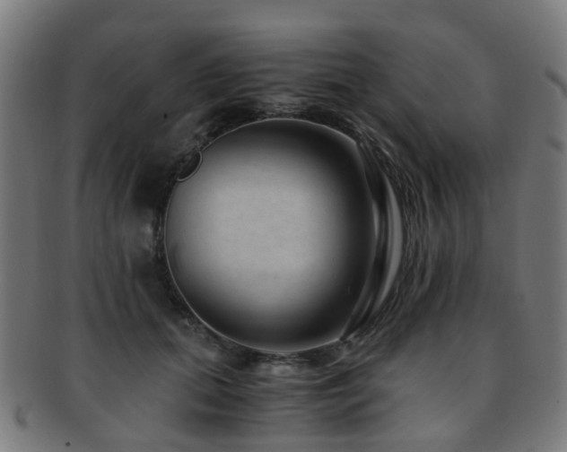 X0000091900655200709051404