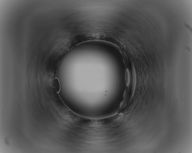X0000091900656200709051404
