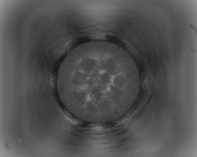 X0000091900658200709051404