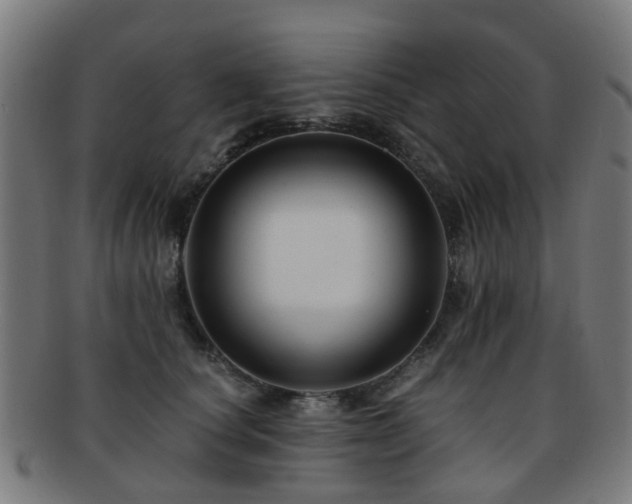 X0000091900660200709051404