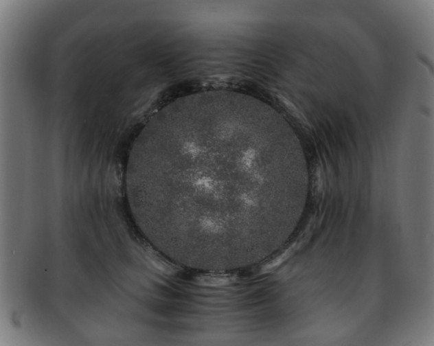 X0000091900661200709051404
