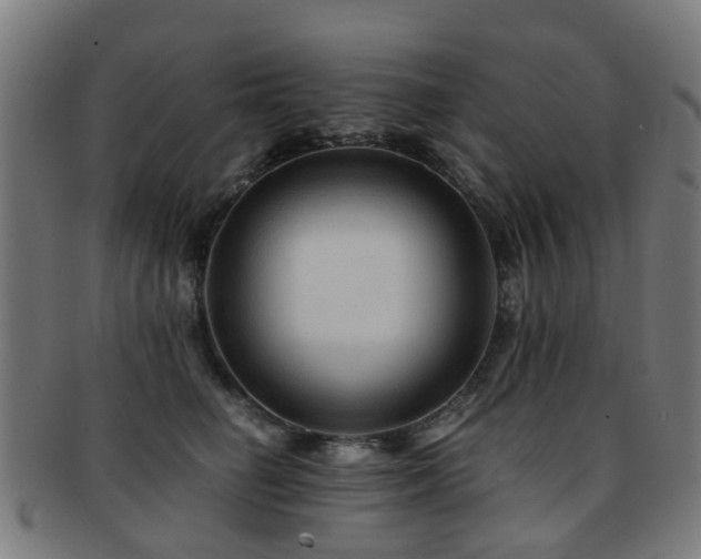 X0000091900662200709051404
