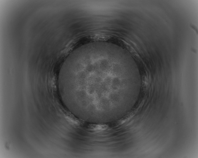 X0000091900663200709051404