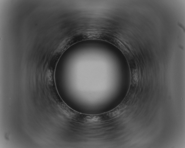 X0000091900667200709051404