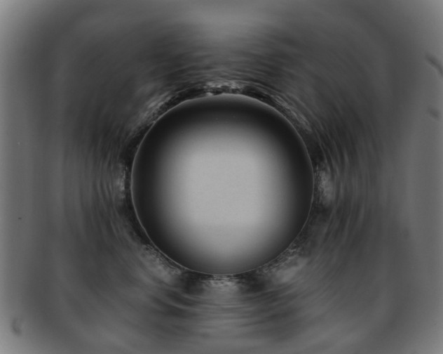 X0000091900668200709051404