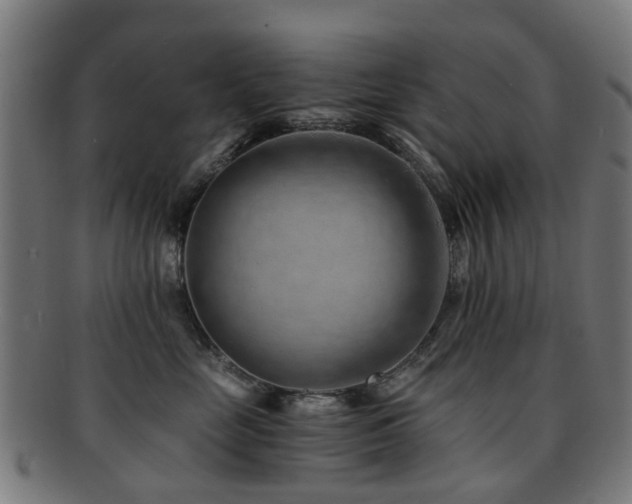 X0000091900669200709051404