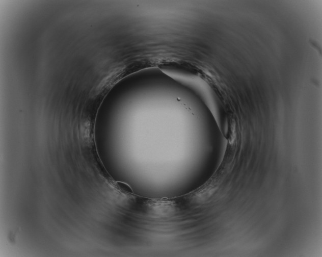 X0000091900670200709051404