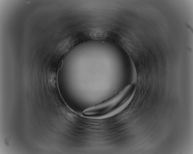 X0000091900671200709051404