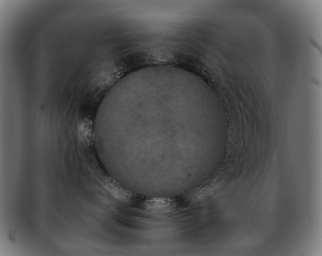 X0000091900672200709051404